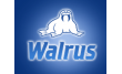 Walrus